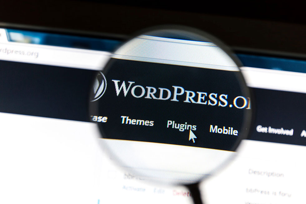 WordPress PHP