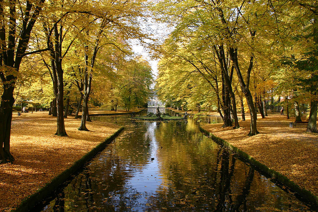 Ein goldener Park in Bayreuth im Herbst